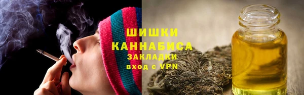 сатива Бородино