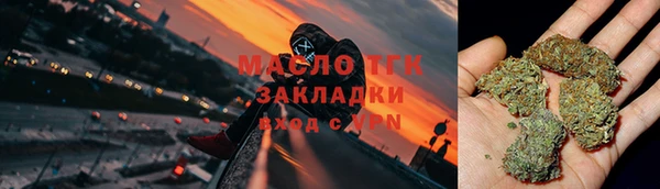 сатива Бородино