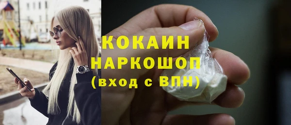 сатива Бородино