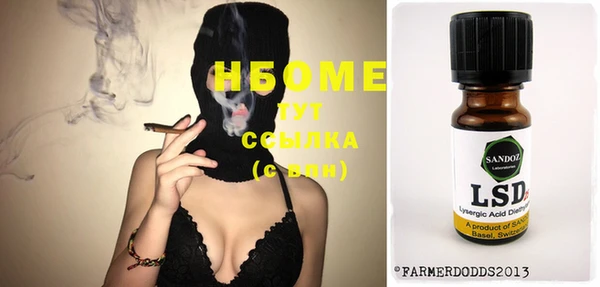 сатива Бородино