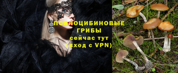 сатива Бронницы