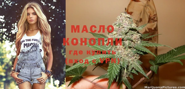 сатива Бородино
