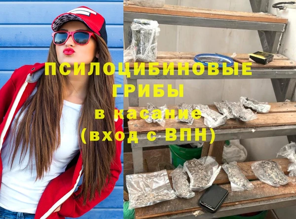 сатива Бронницы
