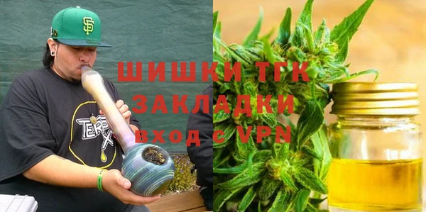 сатива Бородино