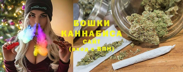 сатива Бородино