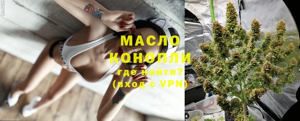 сатива Бородино