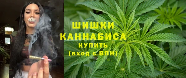 сатива Бородино