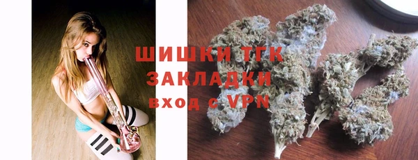 сатива Бородино