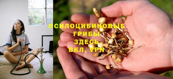 сатива Бородино
