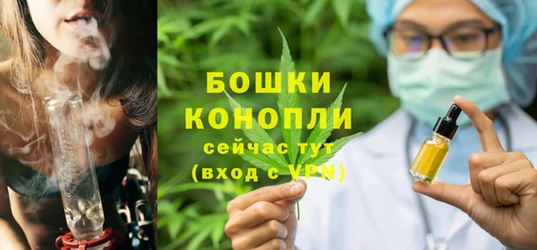сатива Бронницы